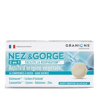 Granions Nez & Gorge 2 en 1 Goût Menthe glaciale 24 comprimés à sucer sans sucres