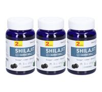 Granions Shilajit gummies Gummies 3x60 pc(s)