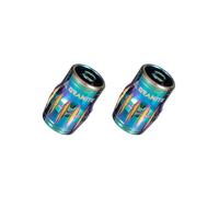Granite Juicy Nipples Bouchons Démonte-Obus Schrader, 2 Pcs (Oil Slick)