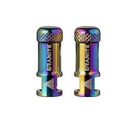 Granite Juicy Nipples Bouchons Démonte-Obus Valve Presta (Oil Slick)