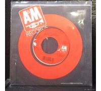 GRANT, Amy / Every Heartbeat / 45rpm record