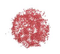 Granulés de Resurfaçage de Piste 1kg, Réparation des Surfaces Sportives | Caoutchouc Rouge, Dosage Précis par Paquet, Finition Homogène, pour Terrain Athlétique et Court Extérieur