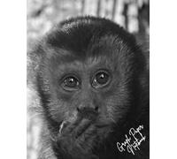 Graph Paper Notebook - Cute Monkey: size 8.5x11 inches, approximately portrait A4, 100 pages, 7mm grid, 0.25mm tickness