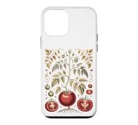 Graphic Tomato Vintage Botanical Drawing Coque pour iPhone 12 Mini
