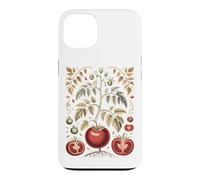 Graphic Tomato Vintage Botanical Drawing Coque pour iPhone 13