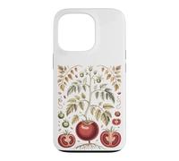 Graphic Tomato Vintage Botanical Drawing Coque pour iPhone 13 Pro