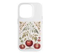 Graphic Tomato Vintage Botanical Drawing Coque pour iPhone 14 Pro