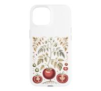 Graphic Tomato Vintage Botanical Drawing Coque pour iPhone 15