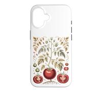 Graphic Tomato Vintage Botanical Drawing Coque pour iPhone 16
