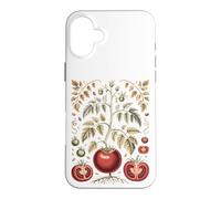 Graphic Tomato Vintage Botanical Drawing Coque pour iPhone 16 Plus