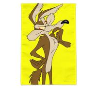 GRAPHICS & MORE Drapeau de jardin Looney Tunes Wile E Coyote (mât non inclus)