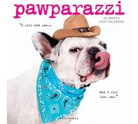 Graphique Calendrier mural Pawparazzi 2024 | 30,5 x 30,5 cm | Papier épais | Organiseur de maison et de bureau | Grande grille mensuelle | 3 langues et jours fériés marqués | Page d'aperçu de 4 mois