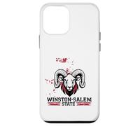 Graphisme WSSU Graffiti Rams de l'État de Winston-Salem Coque pour iPhone 12 mini