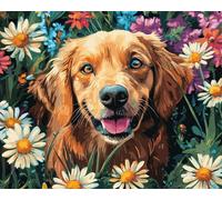 grappes de fleurs de marguerite colorées Acryliques Peinture par Numéros pour Adultes Débutants,chiens mignons,DIY Paint by Numbers Kit,Vloisirs Créatifs Adultes kit cadeau,40x50cm avec cadre