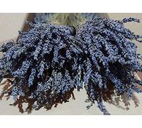 Grappes de Lavande Bio Séchée Grecque 300 Tiges Chacune, 1-22 Grappes 32cm Lavandula Angustifolia (2 Grappes)