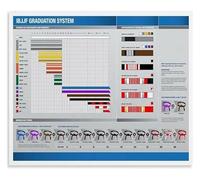 Grappling Martial Arts Poster BJJ Belt Ranking System Educational Wall Chart Canvas Art for Academy Locker Room Decor(Framed,12x18inch(30x45cm))