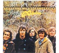 Grass And Wild Strawberries