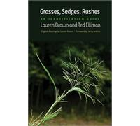 Grasses, Sedges, Rushes