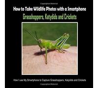 Grasshoppers, Katydids And Crickets: How I Use My Smartphone To Capture Grasshoppers, Katydids And Crickets (How To Take Wildlife Photos With A Smartphone)