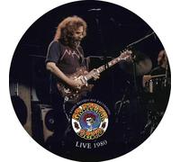 GRATEFUL DEAD - LIVE 1980 PIC DISC LP - Vinyl Record 12PD - G3z