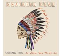 Grateful Dead - Spring 1990-So Glad You Made It [Vinyl Lp] Oversize Item Spilt, Audiophile, Ltd Ed, 180 Gram, Boxed Set