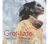 Gratitude: Suburbia Meets Ultra-Vybe ''Free Soul Treasure 1''