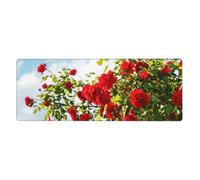 GRatka Buisson de Roses Rouges imprimé,Grand Tapis de Souris pour Bureau, Clavier d'ordinateur, avec Base en Caoutchouc antidérapante, 30 x 80 cm