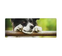 GRatka Chien Border Collie Vert,Grand Tapis de Souris pour Bureau, Clavier d'ordinateur, avec Base en Caoutchouc antidérapante, 30 x 80 cm