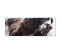 GRatka Cocker Spaniel Anglais, Chiens bouclés Blancs brunâtres,Grand Tapis de Souris pour Bureau, Clavier d'ordinateur, avec Base en Caoutchouc antidérapante, 30 x 80 cm