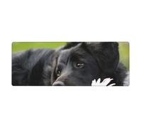 GRatka Labrador Noir Camomille Chiens Retriever Noirs,Grand Tapis de Souris pour Bureau, Clavier d'ordinateur, avec Base en Caoutchouc antidérapante, 30 x 80 cm