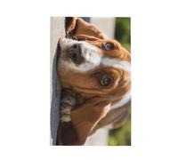 GRatka Modèle Basset Hound,Torchons de Cuisine gaufrés, absorbants, 41 x 66 cm