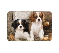 GRatka Paillasson extérieur, paillasson antidérapant d'entrée intérieure, Tapis de Patio extérieur 40x60 cm, Petits Chiots Cavalier King Charles Spaniel