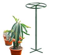 Grattoir à | jardin à support vertical | structure pour pitaya d'extérieur, pour vis de fleurs en pot extérieur jardin ferme patio femme jardinier