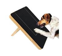 Grattoir à Ongles pour Chien Tapis Grattoir Interactif avec Boîte à