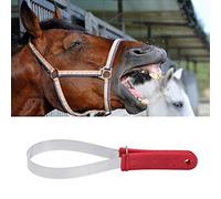 Grattoir en acier inoxydable avec lame unique pour toilettage de cheval avec poignée antidérapante