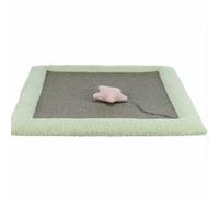 Grattoir pour Chats Trixie Junior