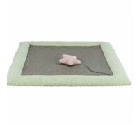 Grattoir pour Chats Trixie Vert Gris 47 x 47 cm