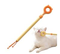Grattoir pour le corps de votre chat Bâton de toilettage à double face