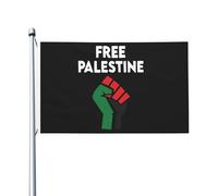 gratuit 3 x 5 extérieur Double face Drapeau drôle Décoration murale pour chambre de garçon 3 x 5 pieds Tapisserie de Palestine gratuite pour salon