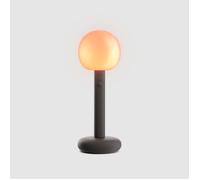 Grau Fire Lampe rechargeable LED noir Ce luminaire comporte des modules à LED prémontés de classes énergétiques A A++, A+, A
