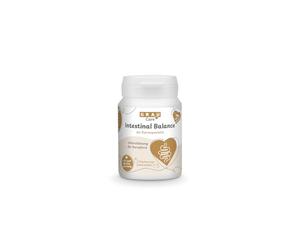 GRAU - l’Original - Intestinal Balance, Pack de 1 (1 x 60 comprimés)