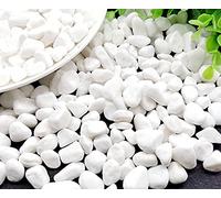 Gravier Aquarium Naturels Gravier Blanc Gravier pour Jardin Pierres Blanches Décoration Plante Blanc 900g Gravier Tortue
