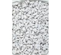 Gravier pour aquarium Aquasand Ekaï blanc 1 kg - Zolux Blanc