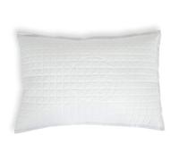 Gravity Oreiller thérapeutique pour Le Sommeil Coussin rempli de Bois de pin Oreiller pour la santé des Adultes Contre Les problèmes de Sommeil 40x80cm - Oreiller intérieur