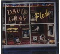 David Gray - Flesh