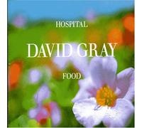 Gray, David - Hospital Food [Import]
