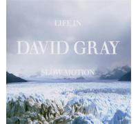 David Gray – Life in Slow Motion – Import (East West Samples)