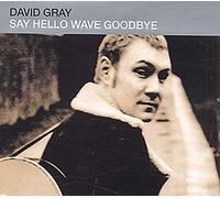 Gray, David - Say Hello, Wave Goodbye [Import]