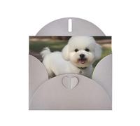 Gray JKIEGOQ Carte de vœux Motif chien bichon frisé 10,2 x 15,2 cm pour Noël, Saint-Valentin, mariage, fête