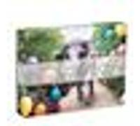 GRAY MALIN, PARTY AT THE PA PUZZLE - 500 PIECE DOUBLE-SIDED G